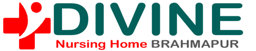 Divine Nursing Home Logo